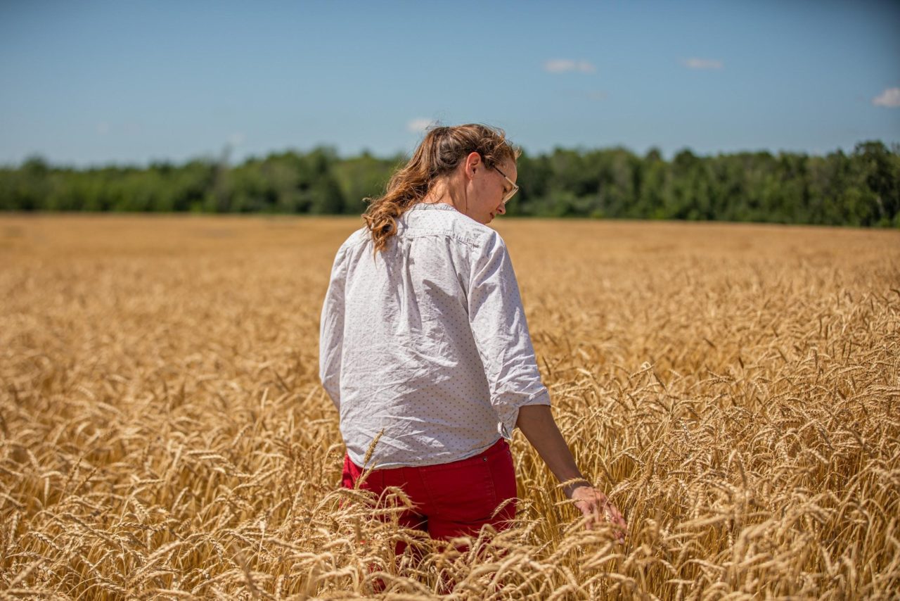 women_wheat-1280x854.jpg