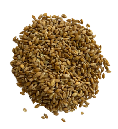 Einkorn berries