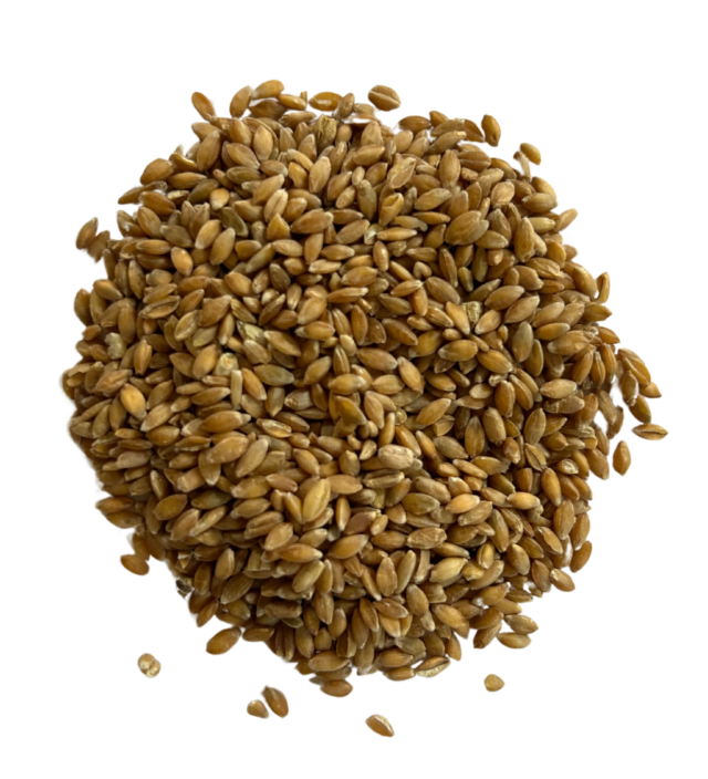 Einkorn berries