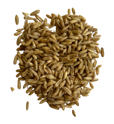 oat groats