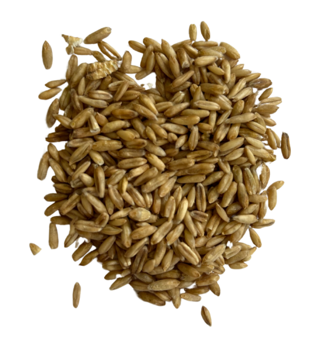 oat groats