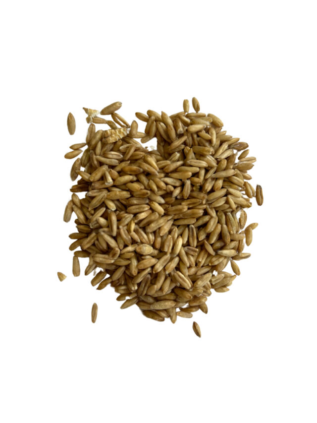 Oat Groats