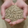 reLit cat litter