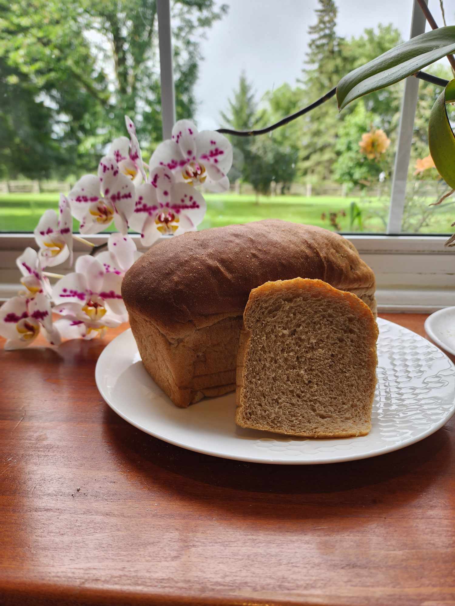 bread