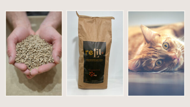 relit pet litter