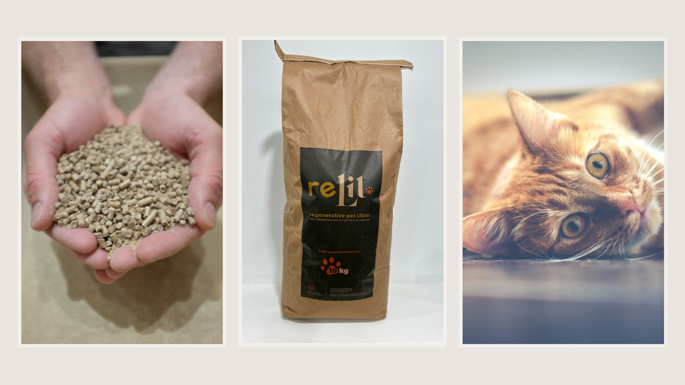 relit pet litter