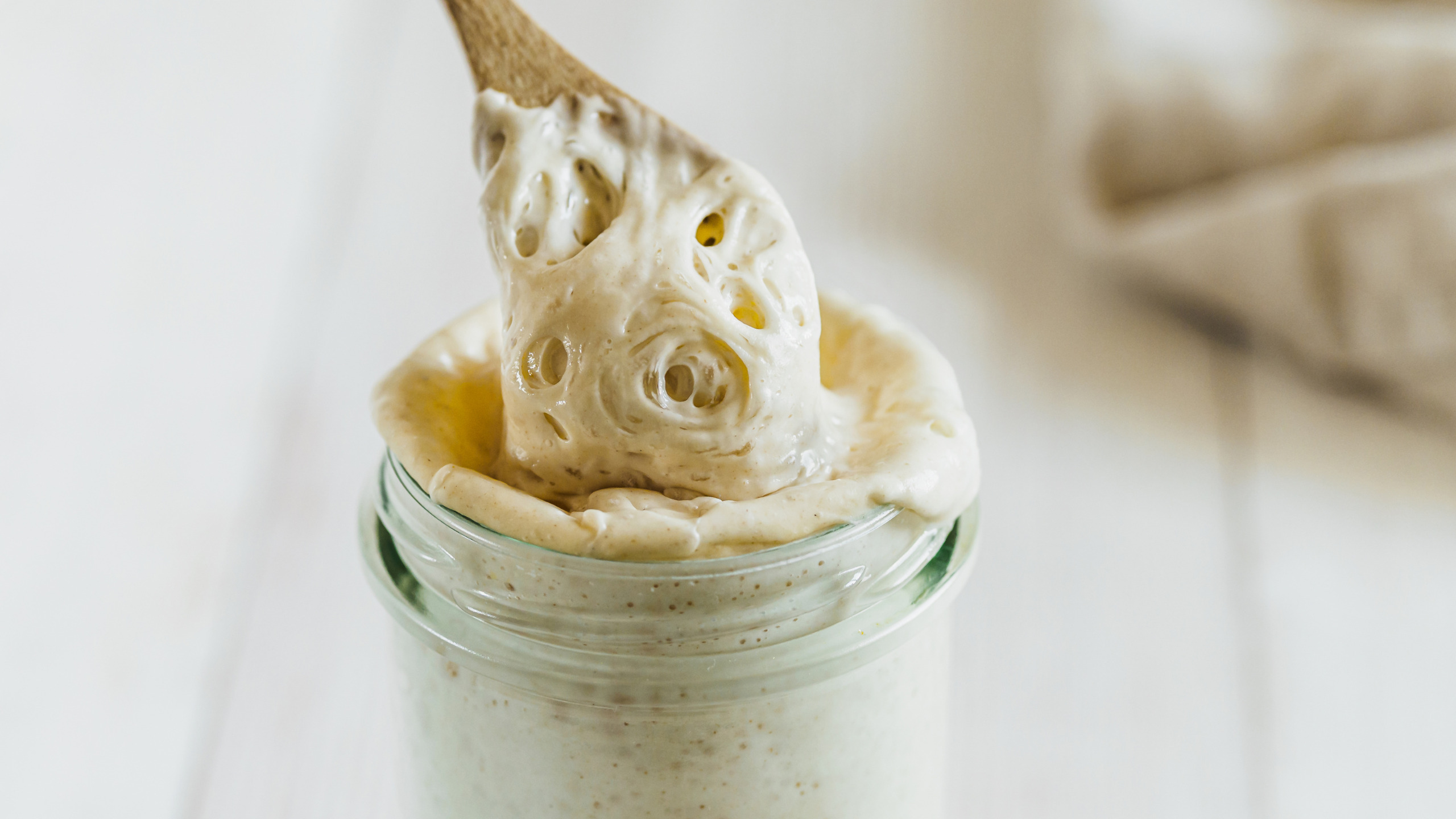 how to choose your sourdough culture