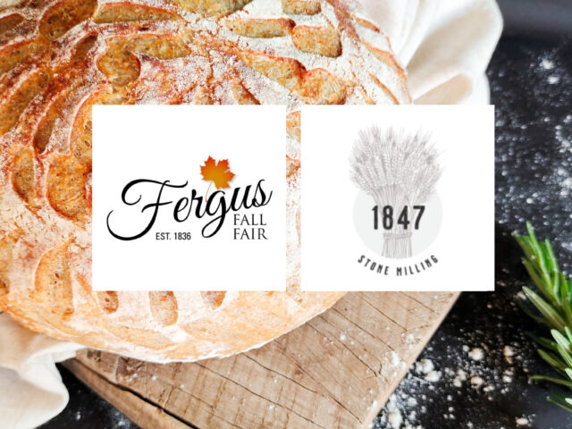 Fergus Fall Fair