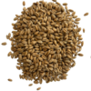 Hard red winter wheat berries