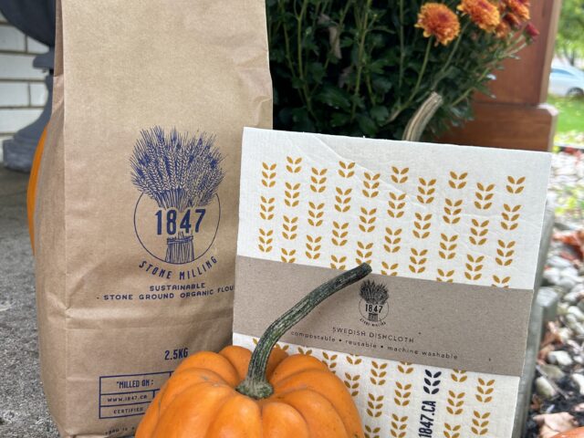 Thanksgiving Bundle