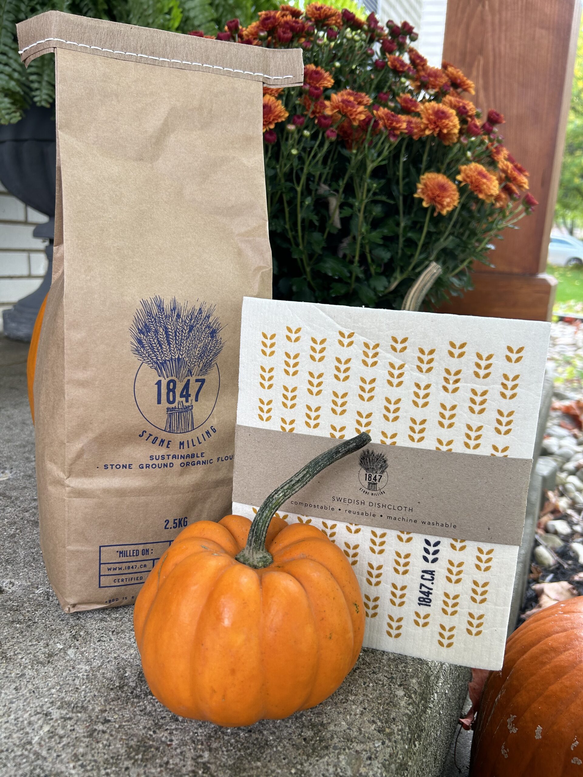 Thanksgiving Bundle